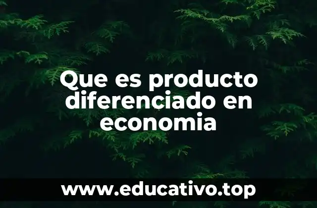 Que es producto diferenciado en economia