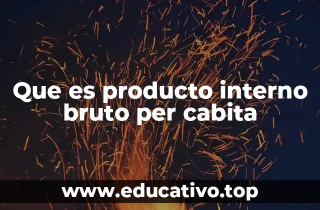 Que es producto interno bruto per cabita