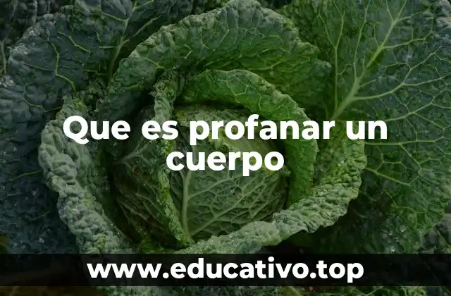 El cuerpo como símbolo y su vulnerabilidad ante la violencia