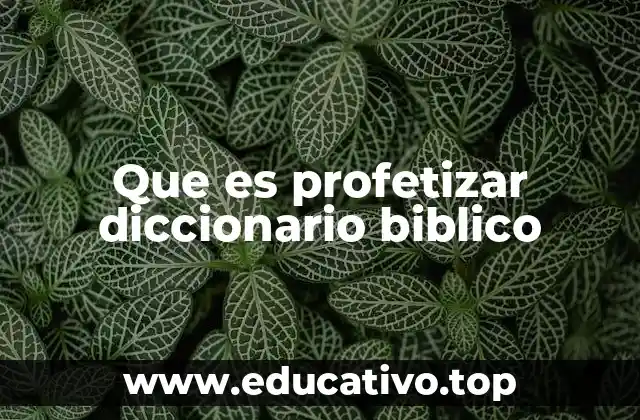 Que es profetizar diccionario biblico