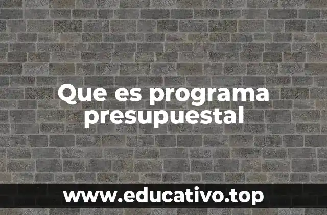 Que es programa presupuestal