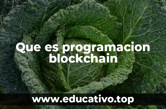 La base técnica detrás de la programación blockchain