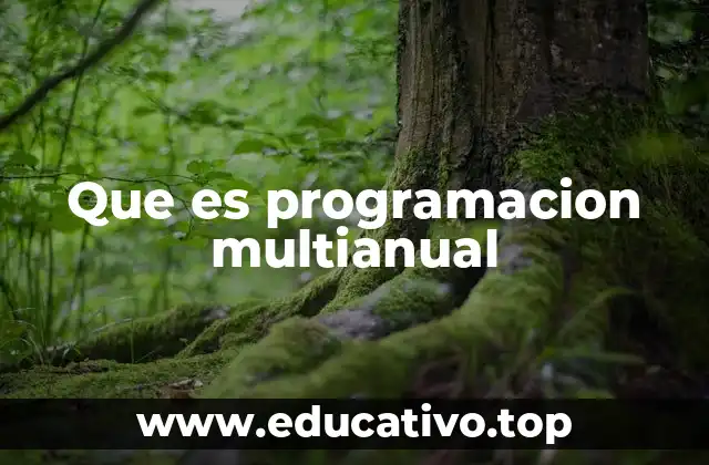 Que es programacion multianual