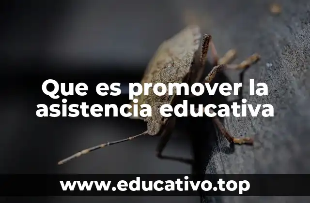 Que es promover la asistencia educativa