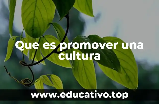 Que es promover una cultura