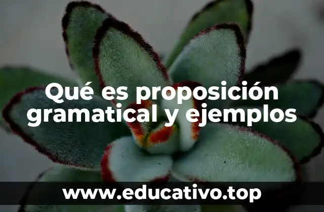 Qué es proposición gramatical y ejemplos