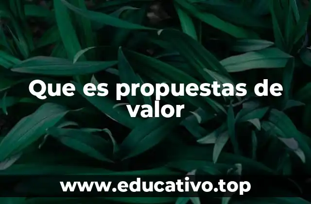 Que es propuestas de valor
