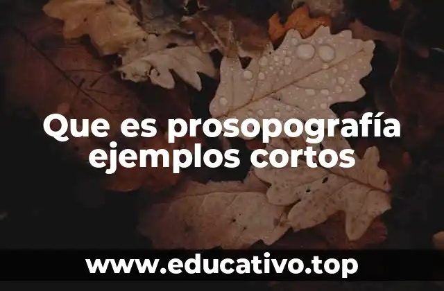 La importancia de la descripción física en la literatura