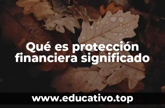 Qué es protección financiera significado