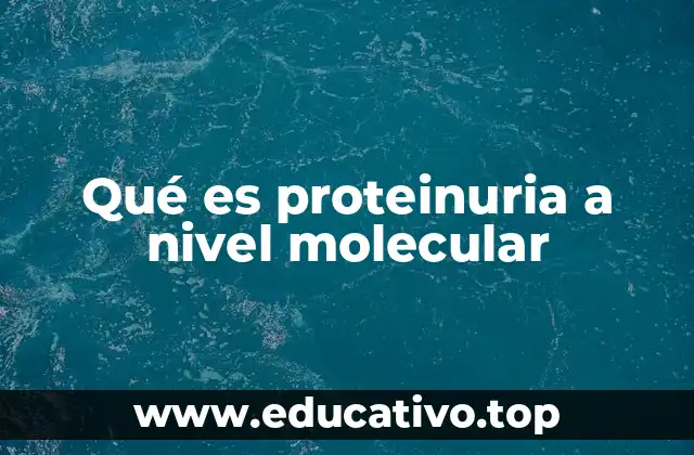 Qué es proteinuria a nivel molecular