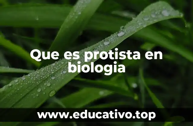 Que es protista en biologia
