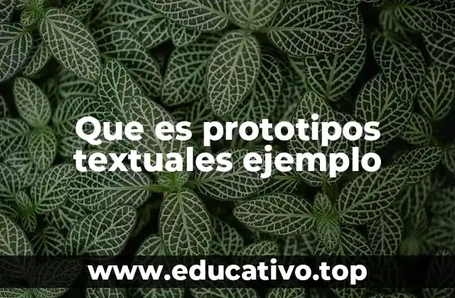 Que es prototipos textuales ejemplo