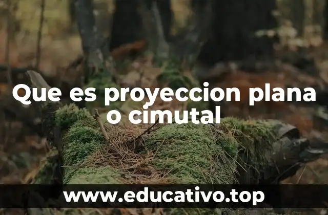 Que es proyeccion plana o cimutal