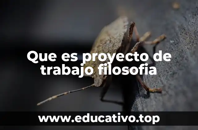 Que es proyecto de trabajo filosofia