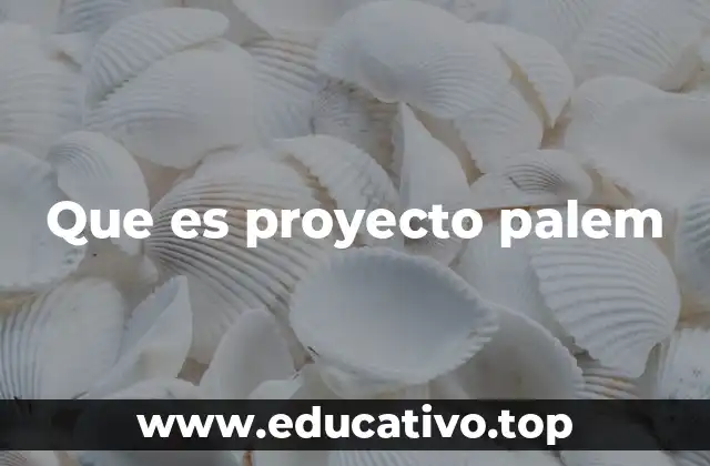 Que es proyecto palem