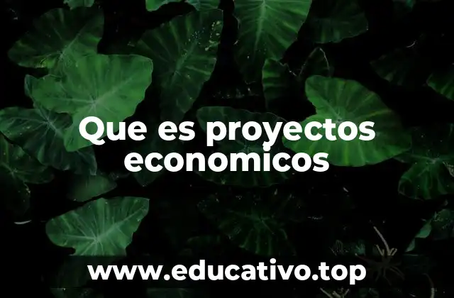 El papel de los proyectos económicos en el desarrollo nacional