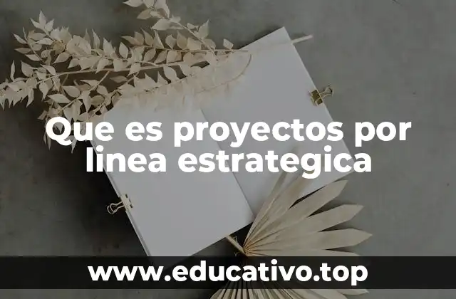 Que es proyectos por linea estrategica