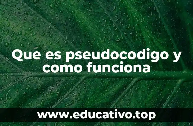 Que es pseudocodigo y como funciona