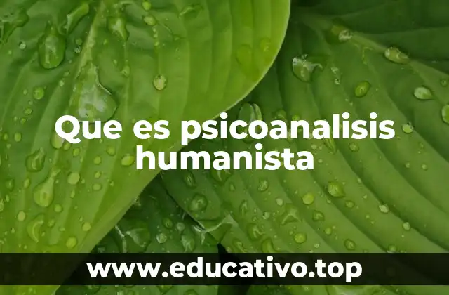 Que es psicoanalisis humanista