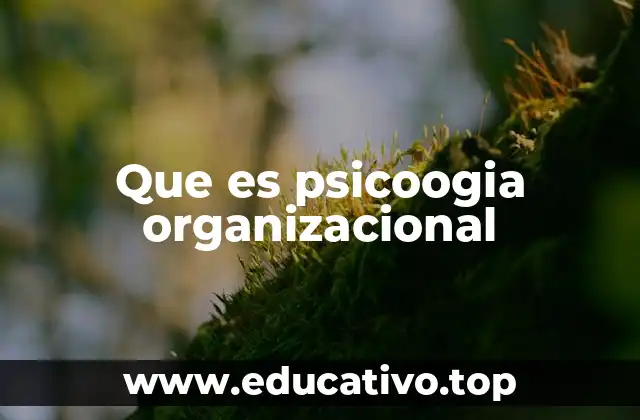 El impacto de la psicología organizacional en el desarrollo empresarial