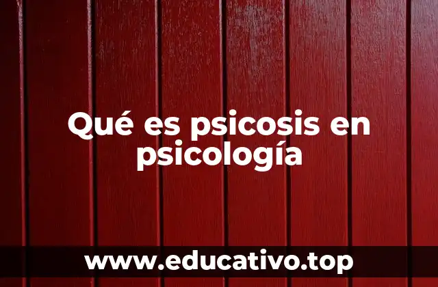 Qué es psicosis en psicología