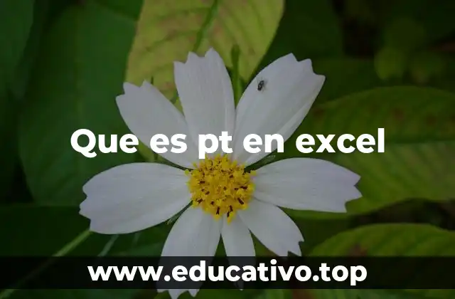Que es pt en excel