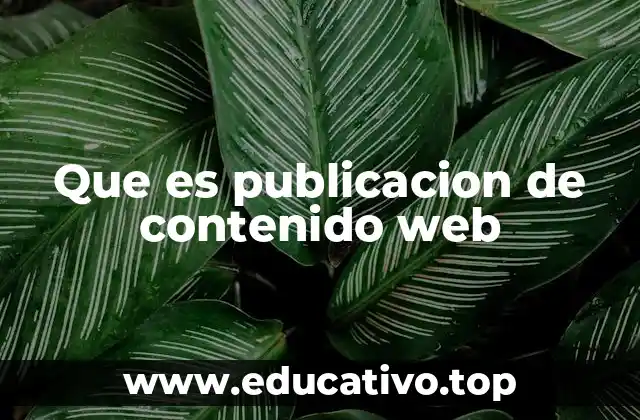 Que es publicacion de contenido web