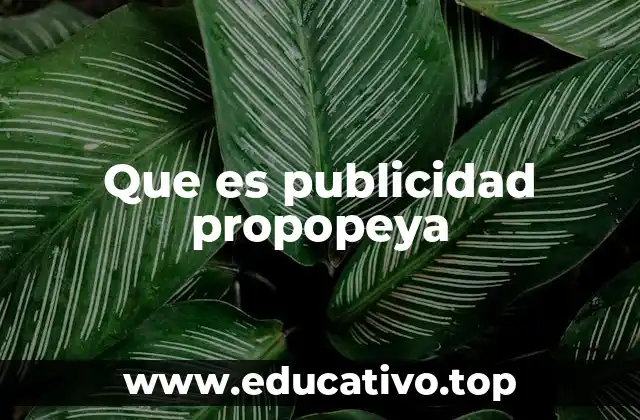 Que es publicidad propopeya