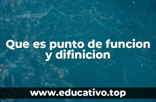 Que es punto de funcion y difinicion