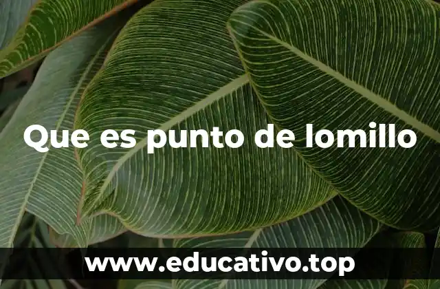 Que es punto de lomillo