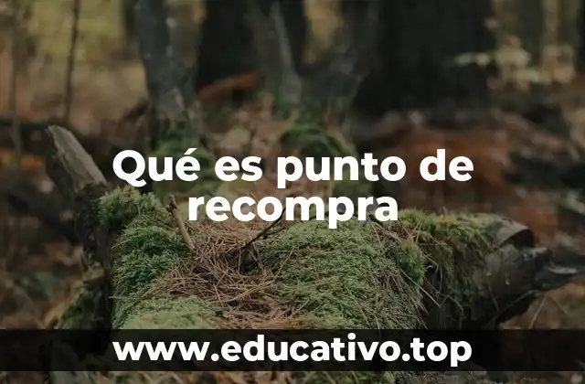 La importancia del punto de recompra en la gestión de inventarios