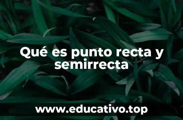 Qué es punto recta y semirrecta