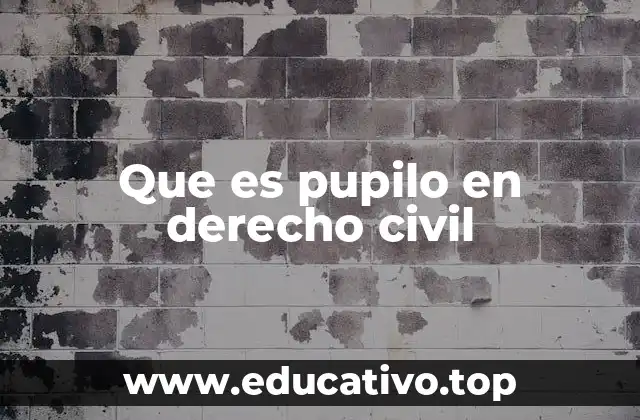 Que es pupilo en derecho civil