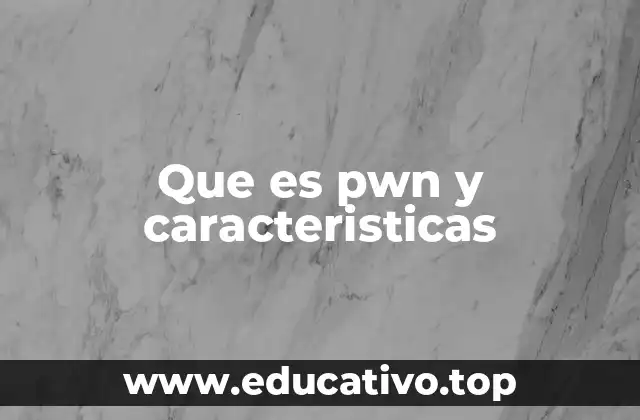Que es pwn y caracteristicas