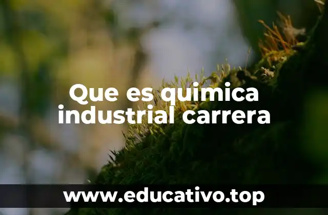 Que es quimica industrial carrera