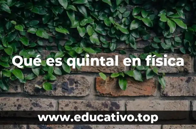 El quintal como unidad de medida histórica