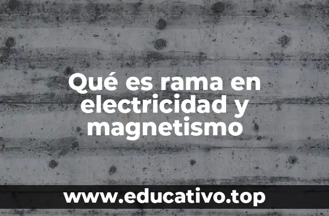 La rama como componente esencial en circuitos eléctricos