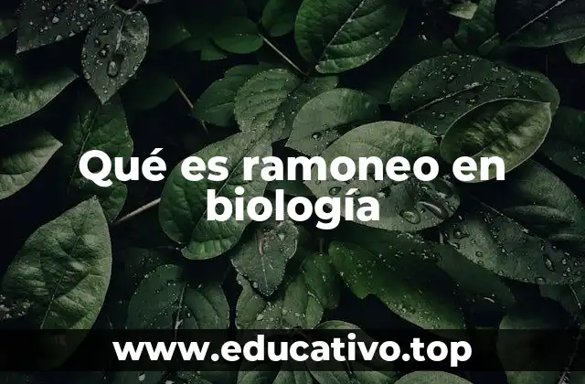 Qué es ramoneo en biología