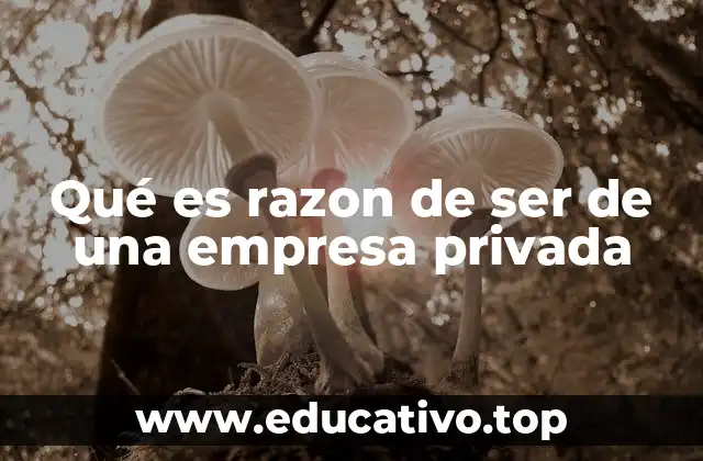 Qué es razon de ser de una empresa privada