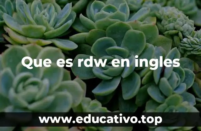 Que es rdw en ingles