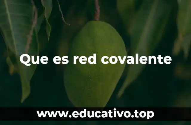 Características de las estructuras covalentes