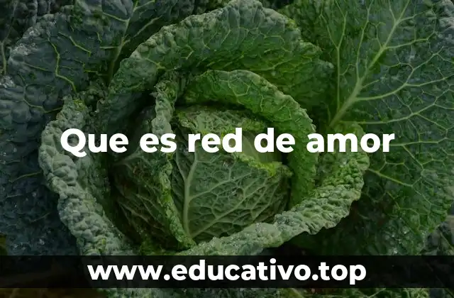 Que es red de amor