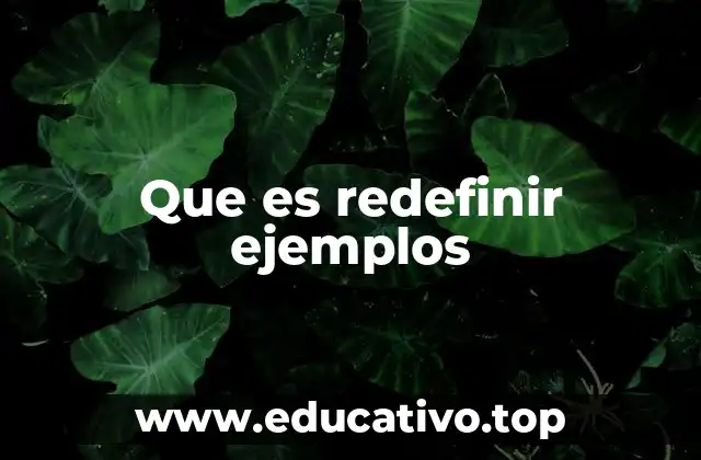 Que es redefinir ejemplos