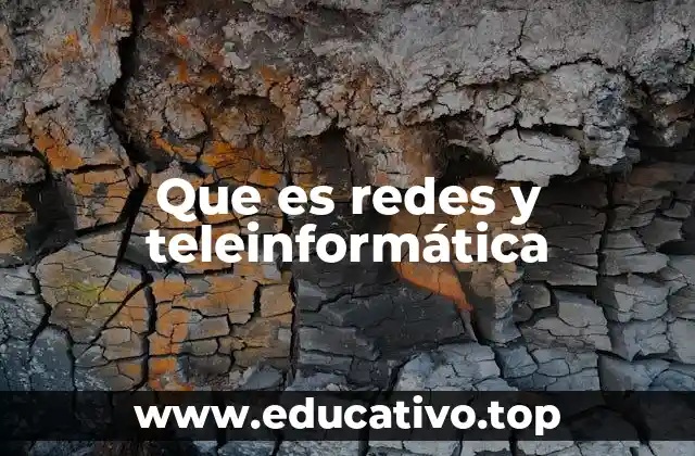 Que es redes y teleinformática