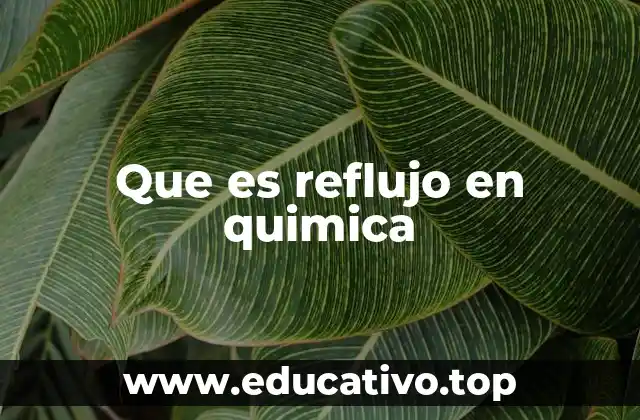 Aplicación del reflujo en la síntesis orgánica