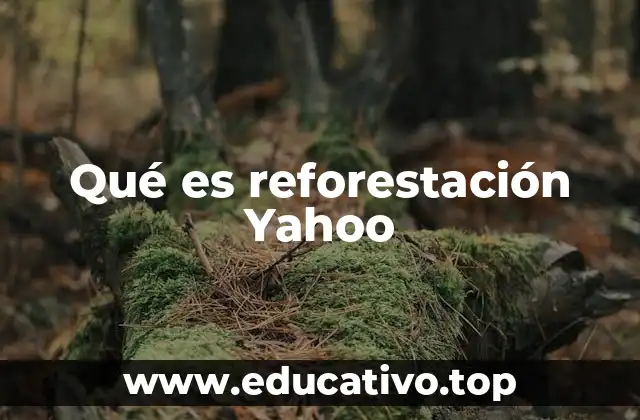 Qué es reforestación Yahoo