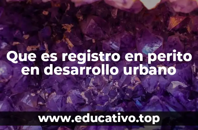 La importancia del registro profesional en el desarrollo urbano