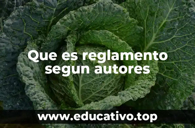 Que es reglamento segun autores