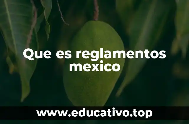 Que es reglamentos mexico