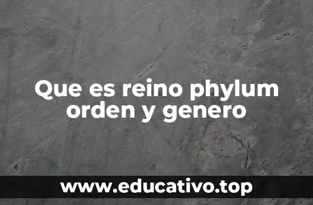 Que es reino phylum orden y genero